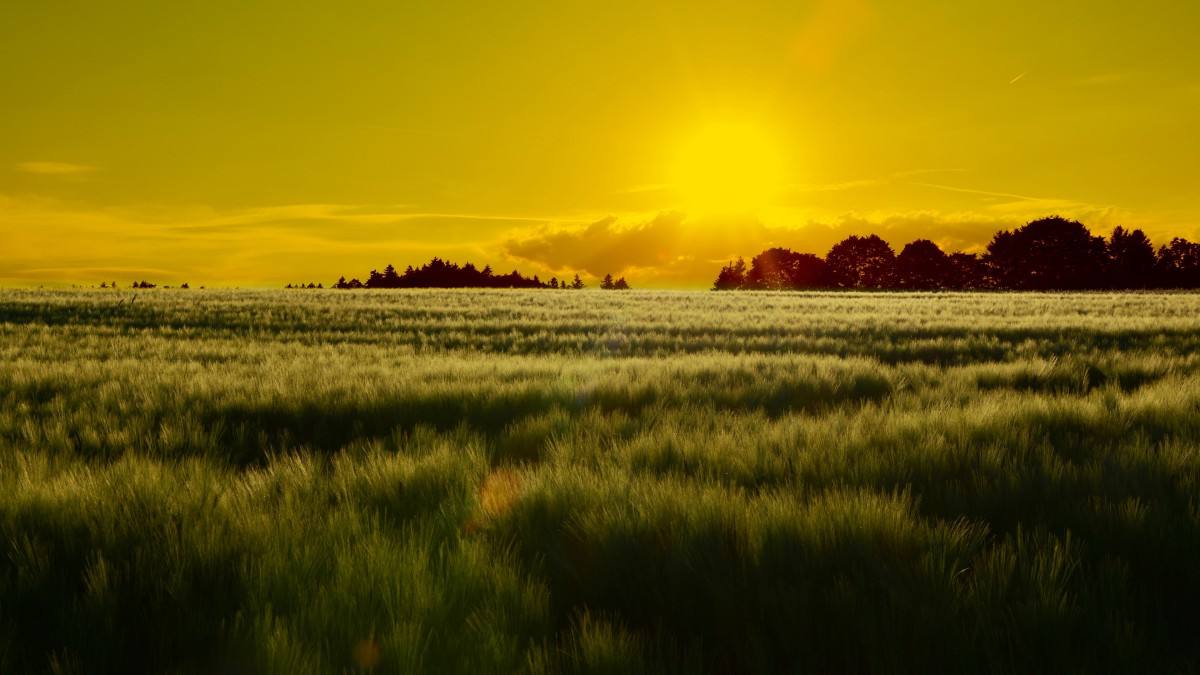 企业所得税汇算清缴后退税操作,企业所得税汇算清缴退税怎么入账