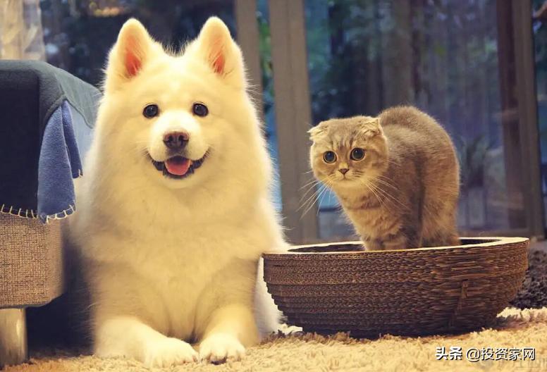 电商哪种商品不能网上购,电商购买还是线下购买