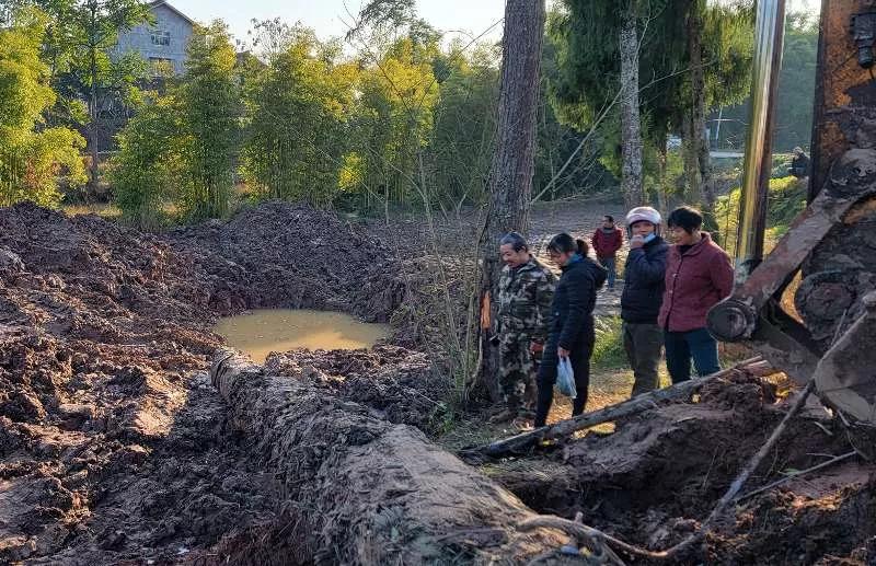 南充阆中挖乌木,南充挖乌木