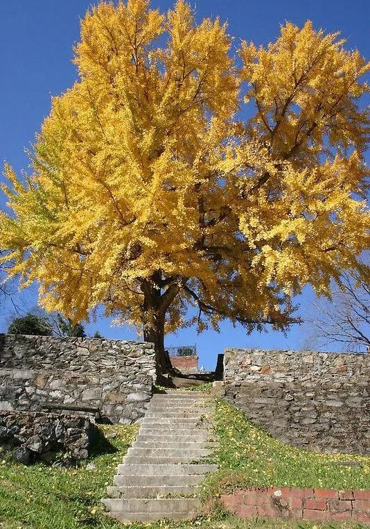 美涂士艺术漆轻奢风格,美涂士艺术漆效果图搭配