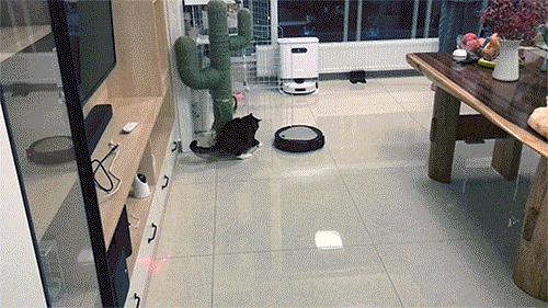 猫之使徒·激光逗猫征服者-TrifoOllie宠物扫拖机器人