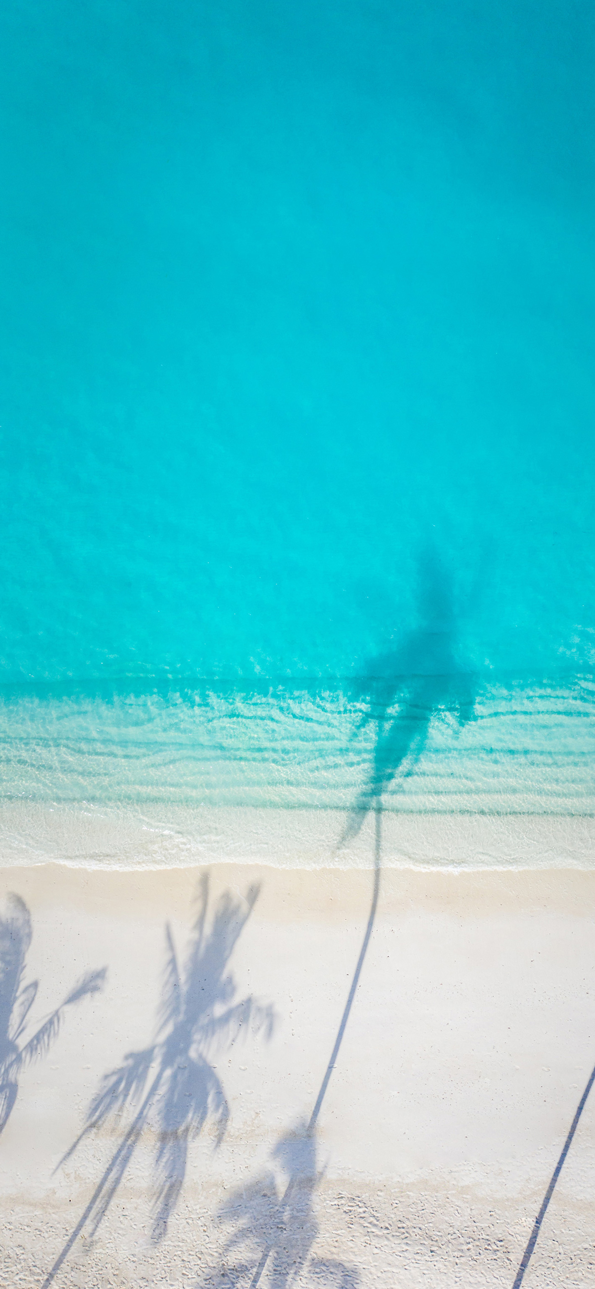 iphone13promax手机壁纸推荐,iphone13promax壁纸动态