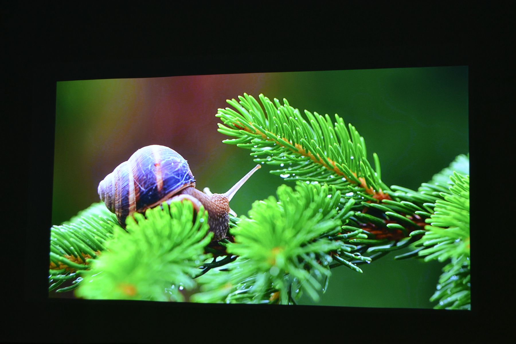 当贝x5投影500寸效果,当贝x5ultra4k投影仪测评