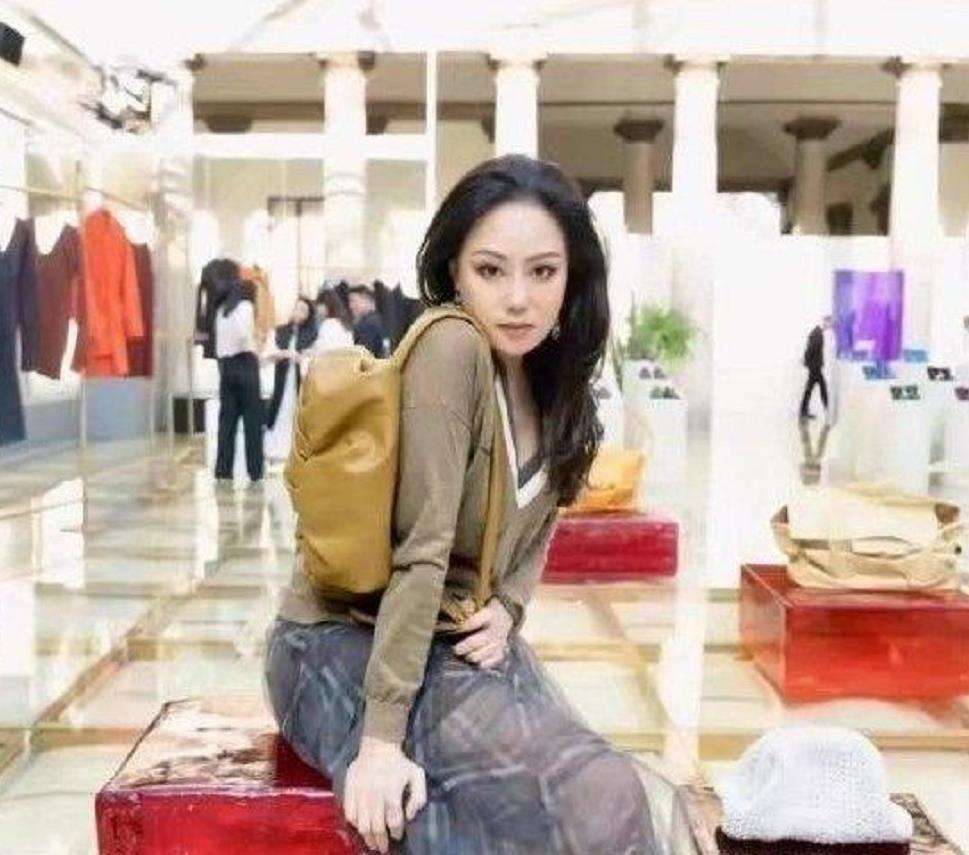 章小蕙还债逆袭,2004年章小蕙拍的什么电影