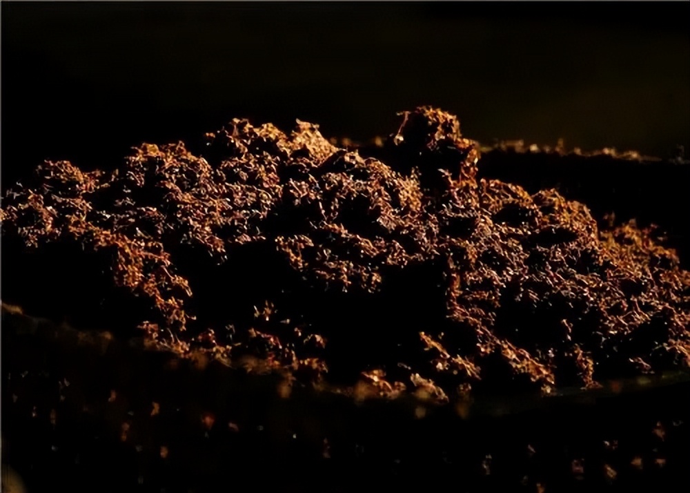 世界上最贵的泥巴比金子还贵,世界上最贵的泥巴制作