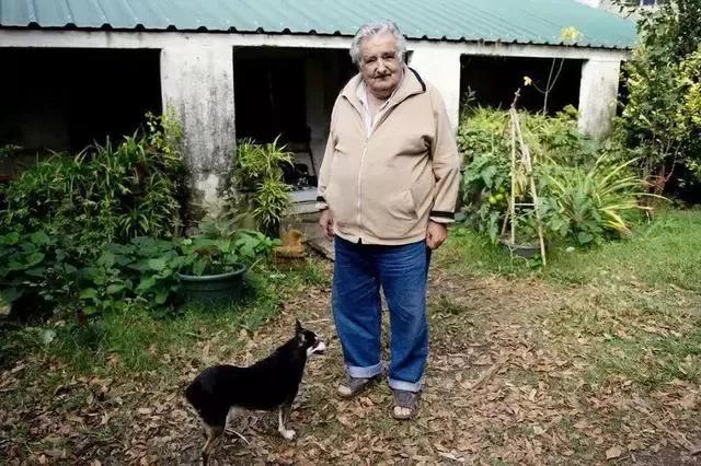 乌拉圭国家昵称,乌拉圭足球厉害