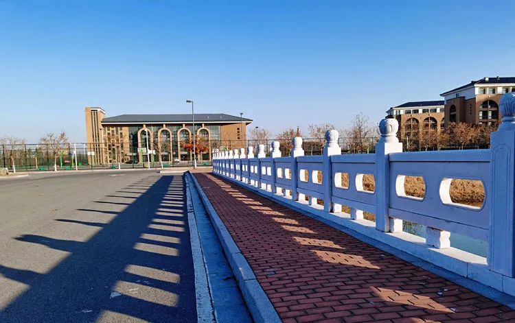 层林尽染的视频号,濮阳医专学历怎么样