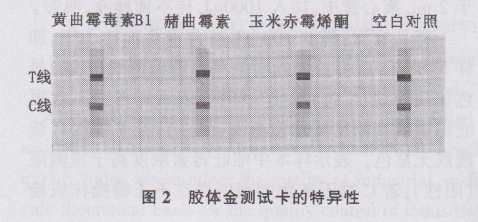 胶体金定量测定呕吐毒素原理,呕吐毒素胶体金免疫检测方法