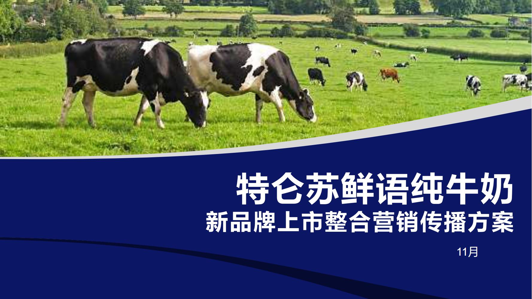 蒙牛特仑苏营销策划,蒙牛特仑苏广告词