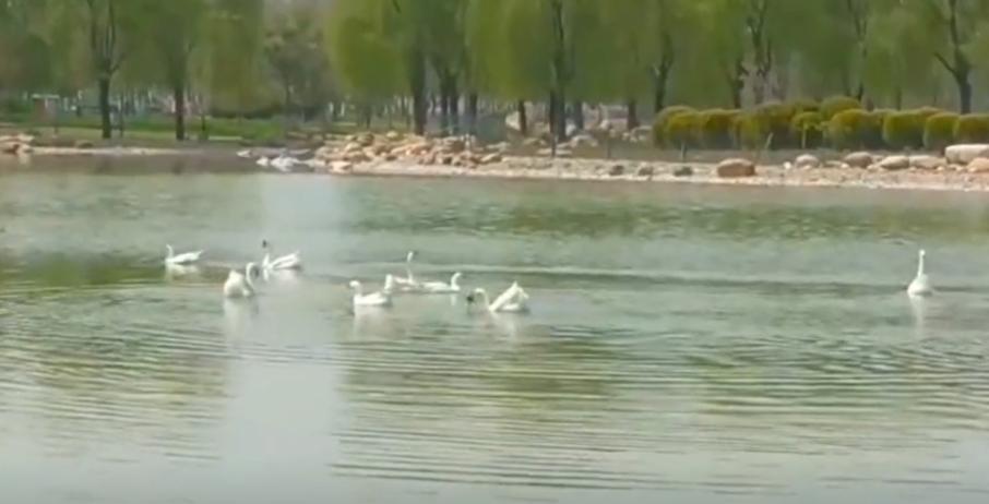 郑州出发暑假东北三省自驾游攻略,郑州出发山西自驾游线路推荐五天