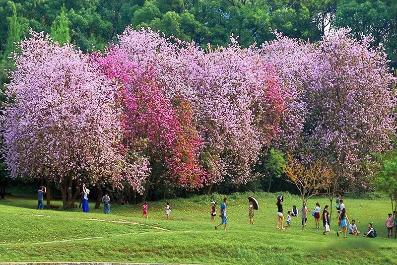打飞的都要去坐的动车,怎么每站都这么好看