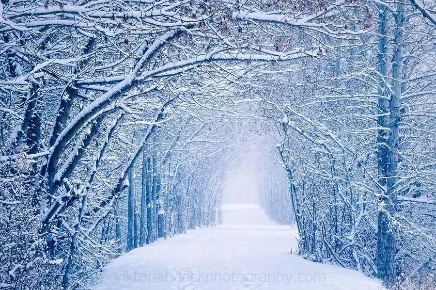 来自塔里木《塔河文苑》诗歌:北方南方冬天之猜想