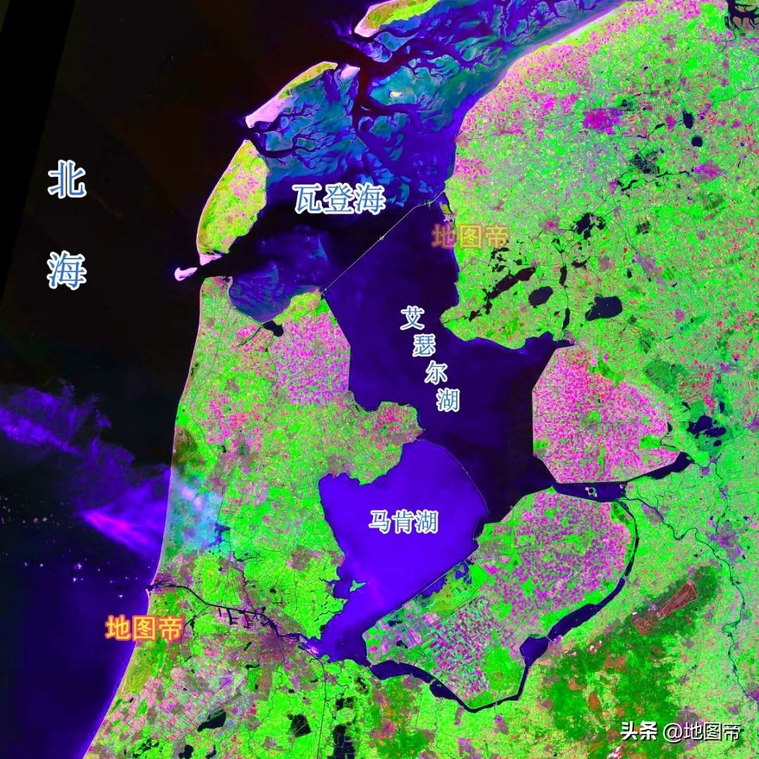 无冕之王荷兰虽败犹荣,荷兰无冕之王