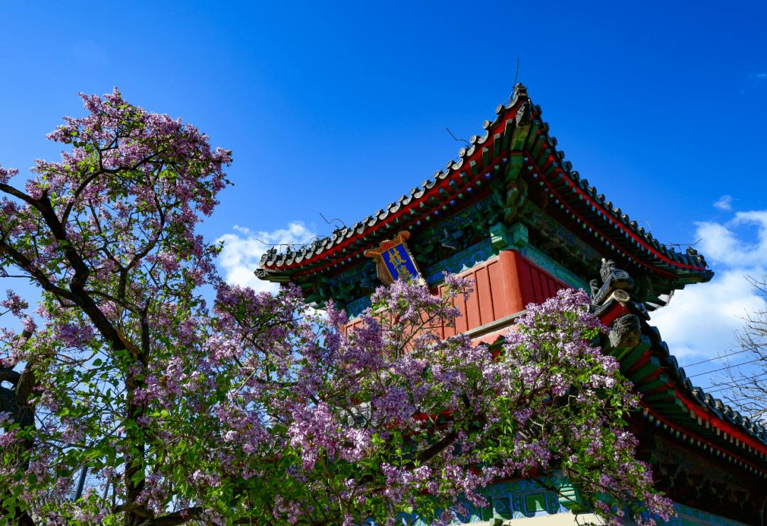 太监晚年的样子,太监晚年要做什么