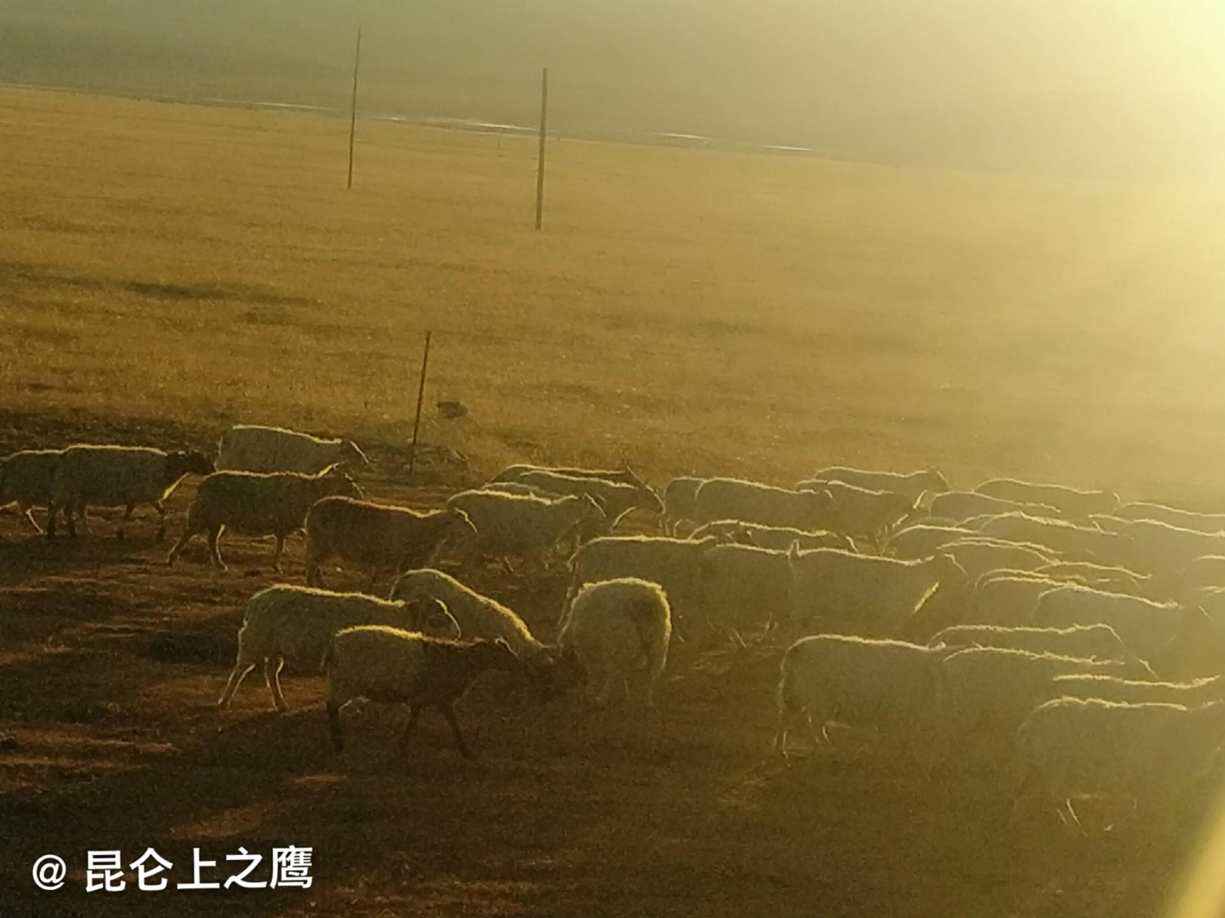 从甘肃翻越祁连山到青海,从肃北到青海沿途风景