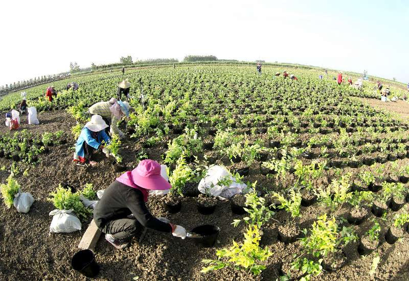 沭阳县重大项目,江苏农业农村重大项目与招商地图