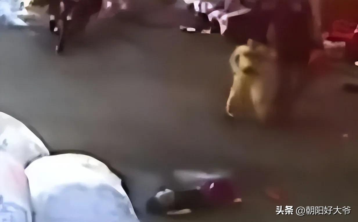 如何保护小孩不受侵犯,六一儿童节怎样让孩子度过