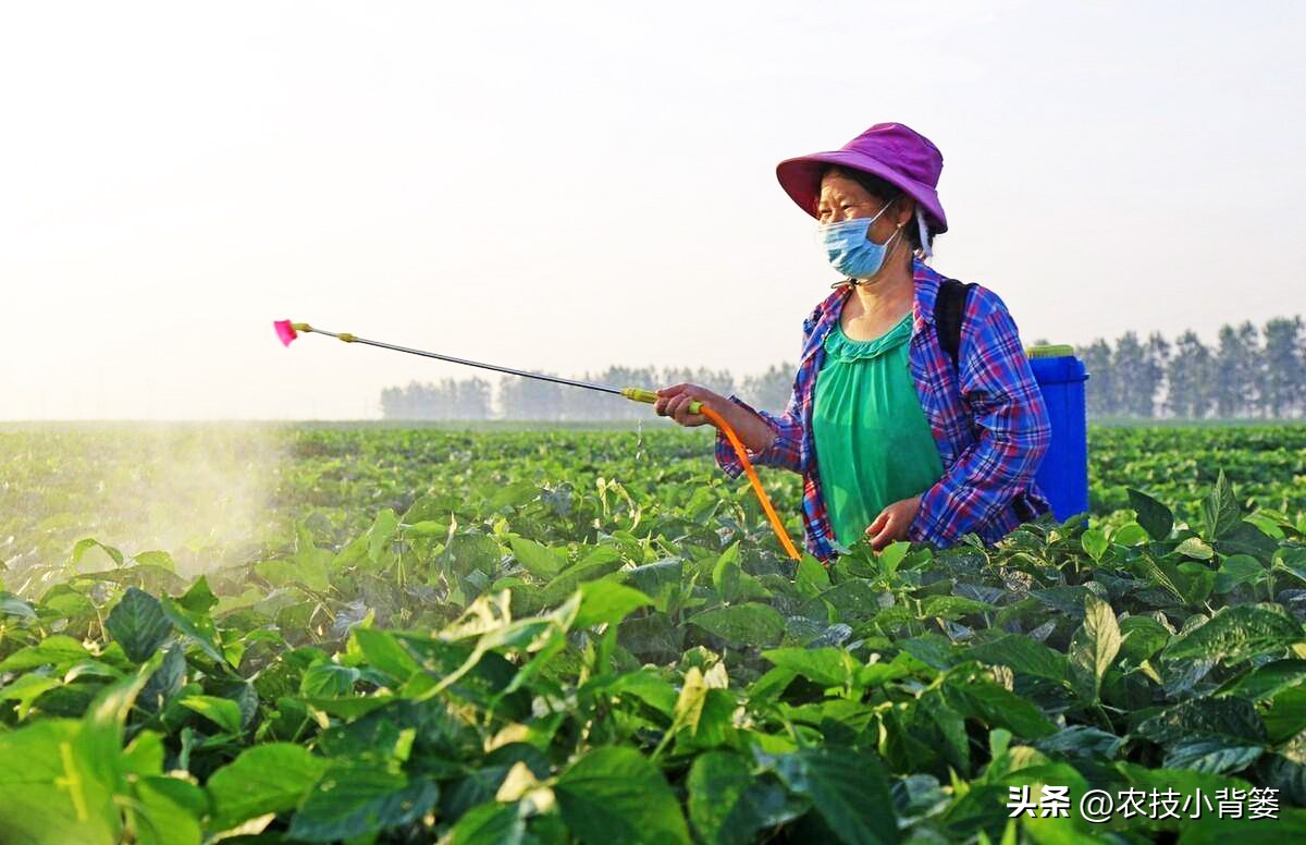 公认最好的对植物无害杀虫剂,植物广谱杀虫剂