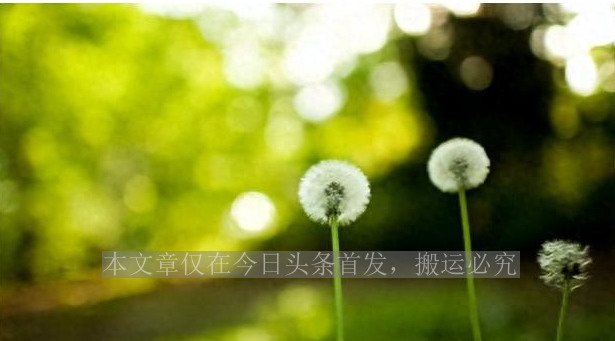 60岁的少女马兰,没有皱纹也没有赘肉,余秋雨娶她堪比获诺贝尔奖