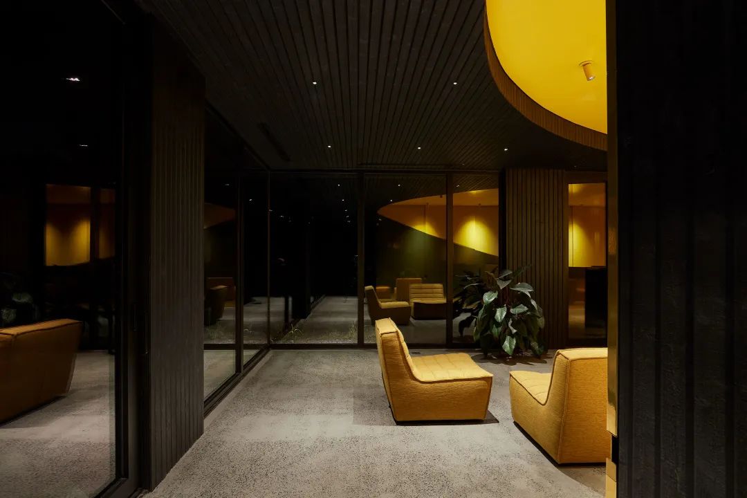 他们把家搬到了森林里，一间森林