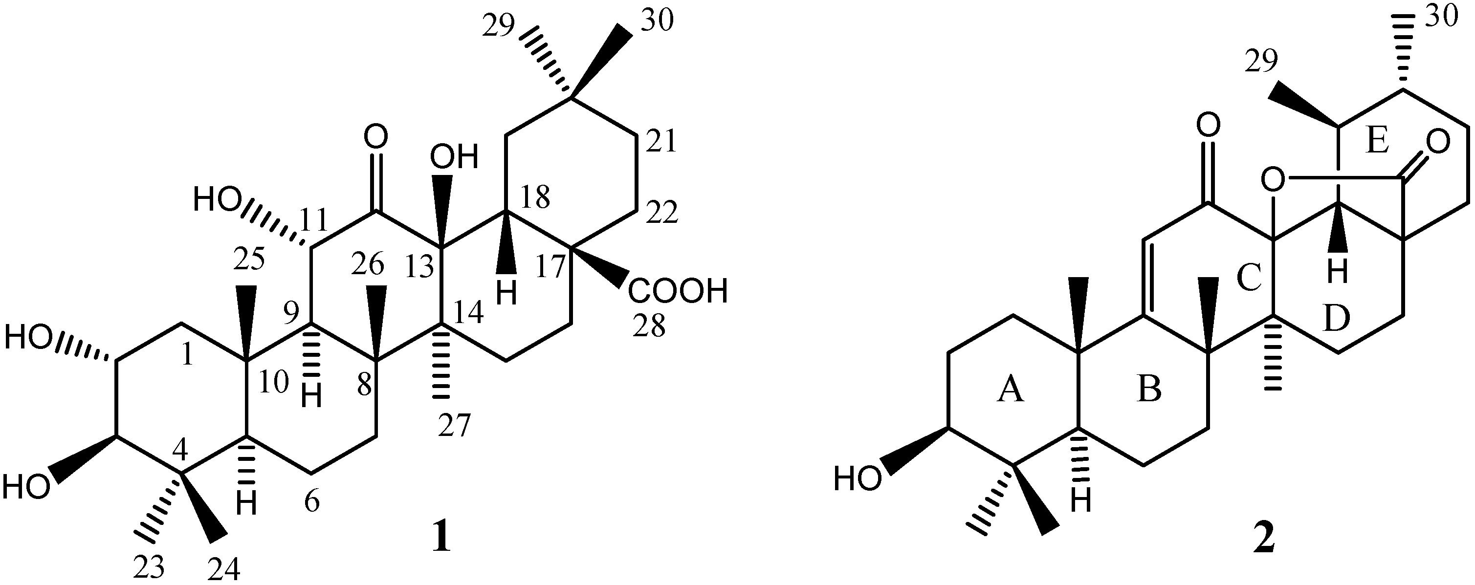 石楠花谢了石楠树却很香,石楠花开的季节