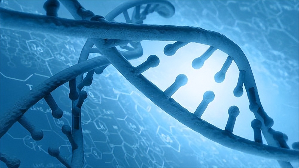 基因组学应用于癌症治疗,基因组学在育种的应用