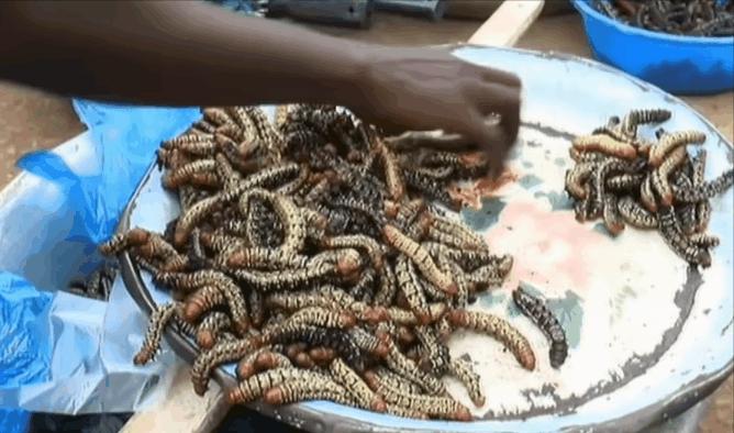 “颠覆”你“认知”的非洲市场，生猛海鲜超便宜