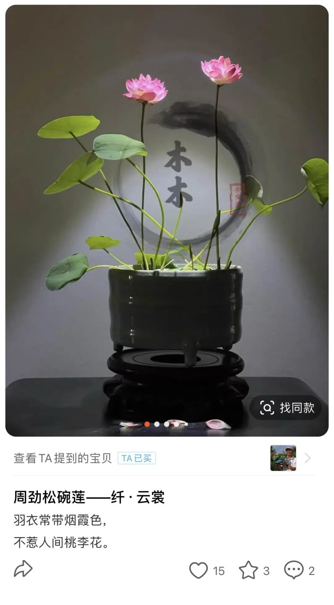 淘宝做私域流量,年入百万养猫人