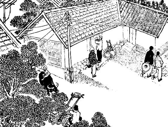 涔℃潙璁板繂1982,涔℃潙璁板繂1992