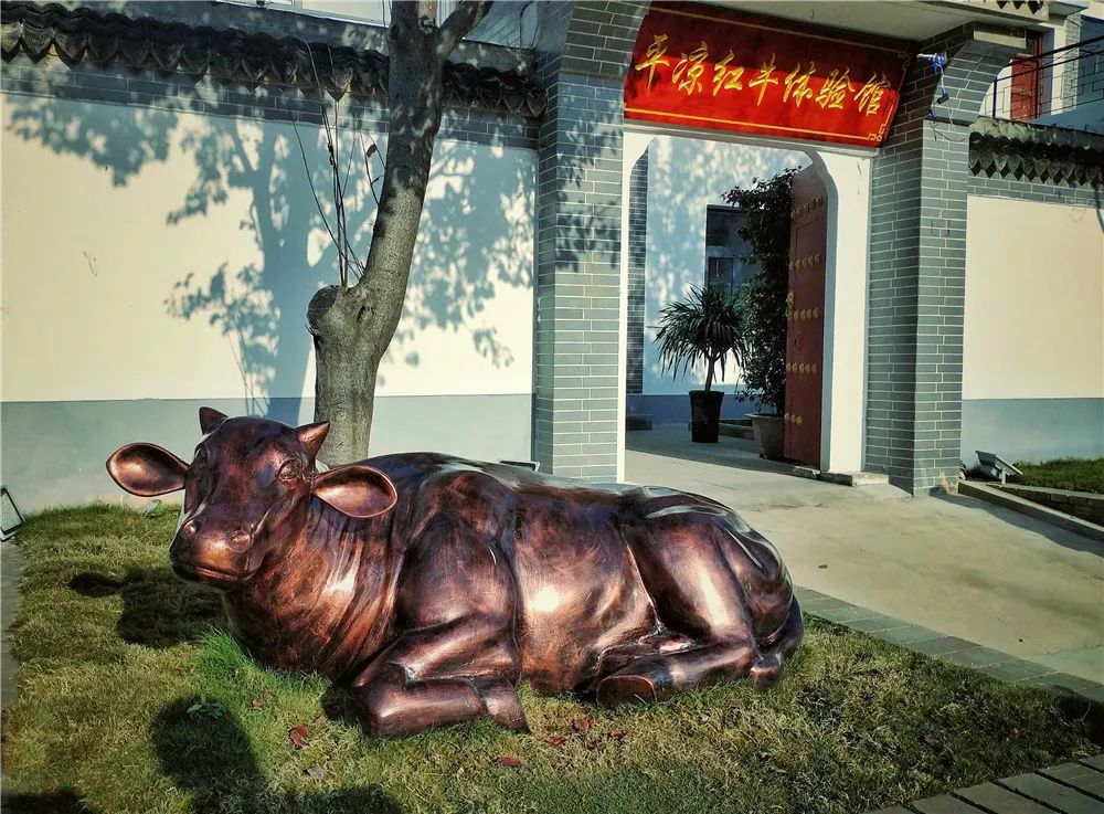 大美崇信，诚信之城欢迎您！