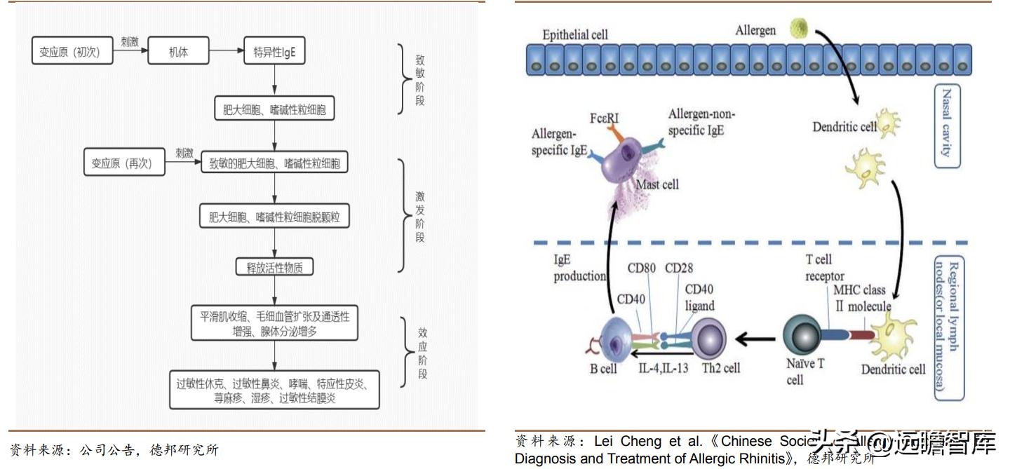 脱敏治疗龙头公司,我武生物脱敏治疗效果怎么样