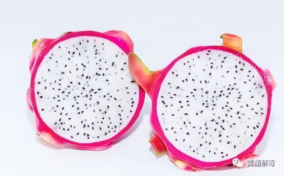 健康小贴士吃零食,健康小贴士每天吃什么最好