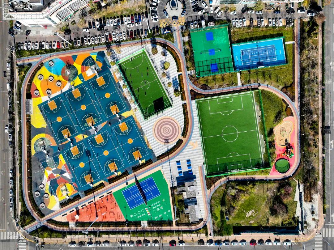 泰达2019世界杯,泰达世界杯