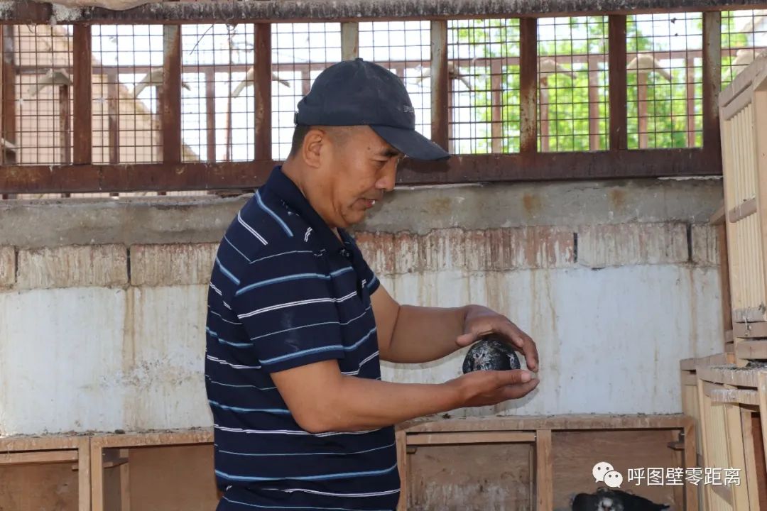 乡村振兴产业养殖介绍,乡村振兴养殖种植一体化