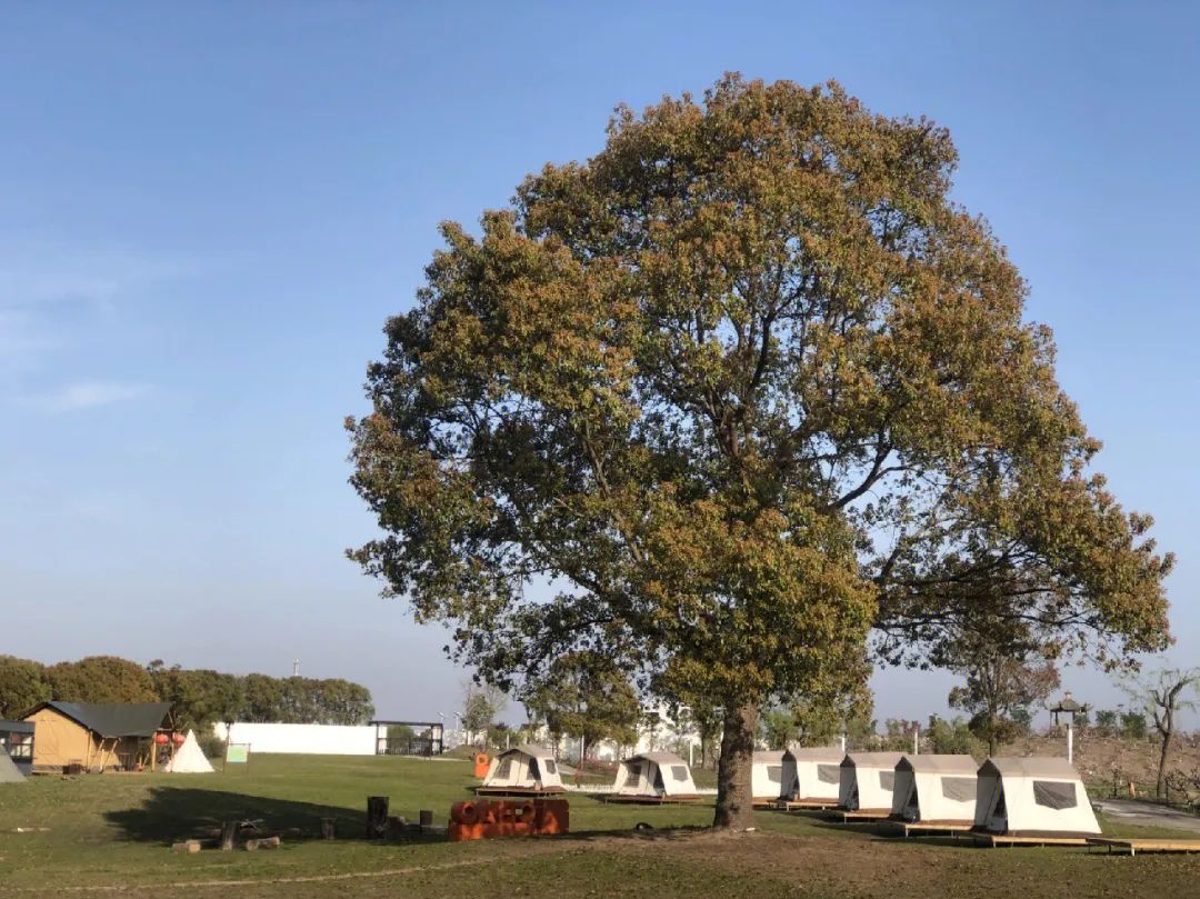 上海新晋热门打卡地，在红砖窑厂里喝咖啡、露营