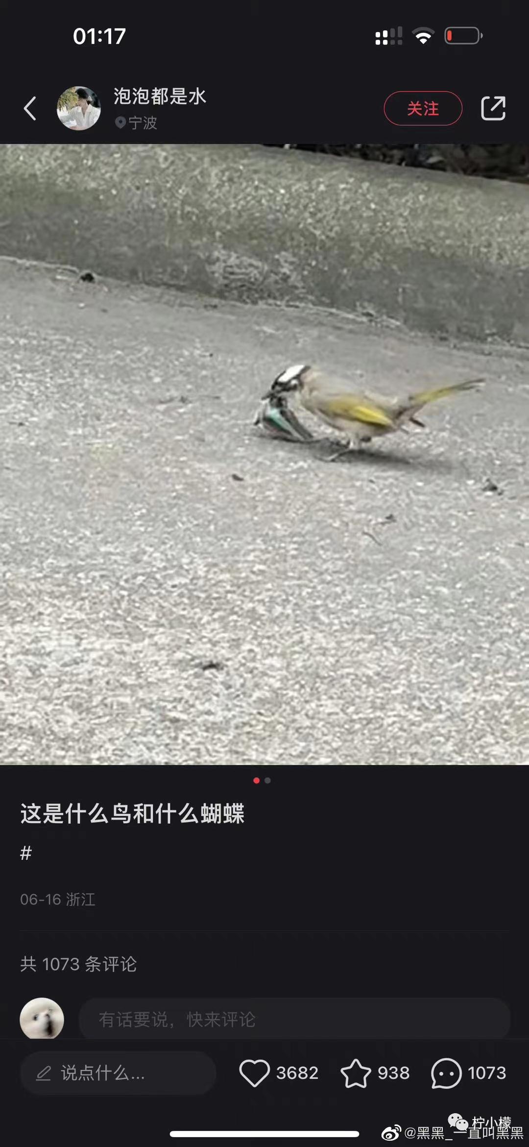 不小心把大尺度小说发给老师后...没逝的这辈子很快就过去了哈哈