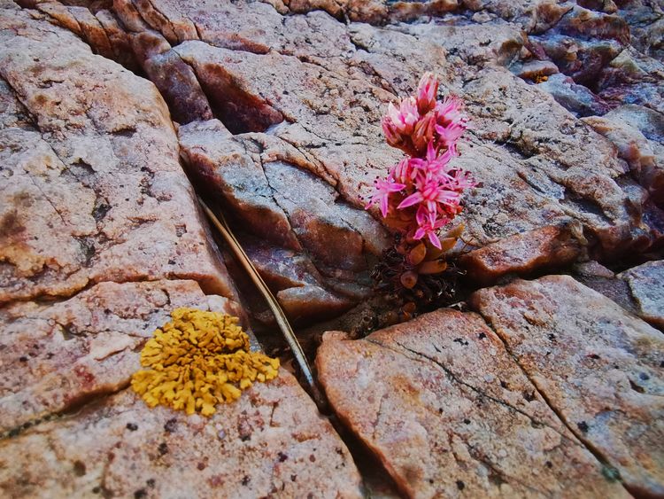 旅顺城山,旅顺城山怎么绕过去