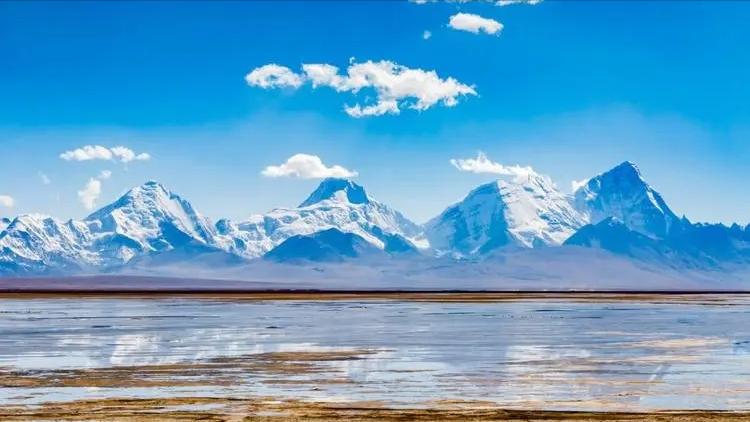 闲情雅致小说全文免费阅读,推荐五本笑点十足反套路沙雕小说