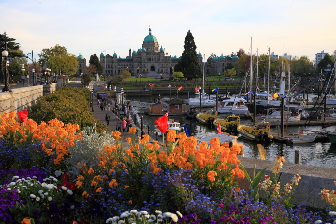 加拿大温哥华岛游记,温哥华维多利亚岛攻略