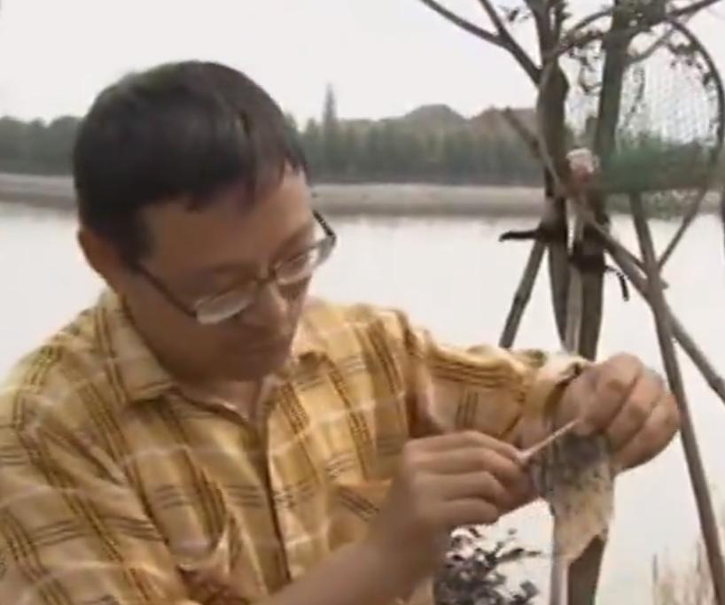 致富经浙江靠卖鱼皮年挣百万,致富经靠卖鱼皮发家致富