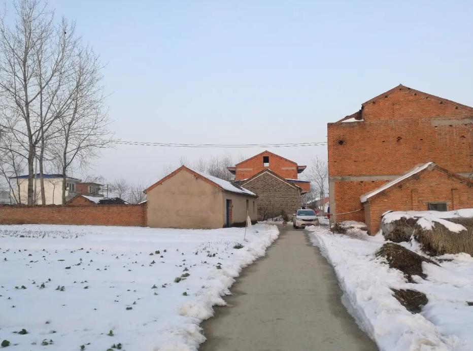 什么时候开始数九今年最冷的,数九已开始今年冷冬是几九