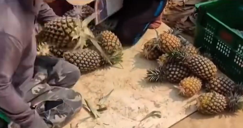 台湾水果商怒斥台当局,台湾凤梨果农斥蔡当局不要乱讲