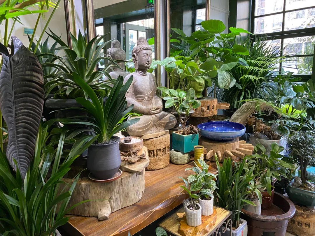 深圳这家开了24年的老字号,深圳开花店