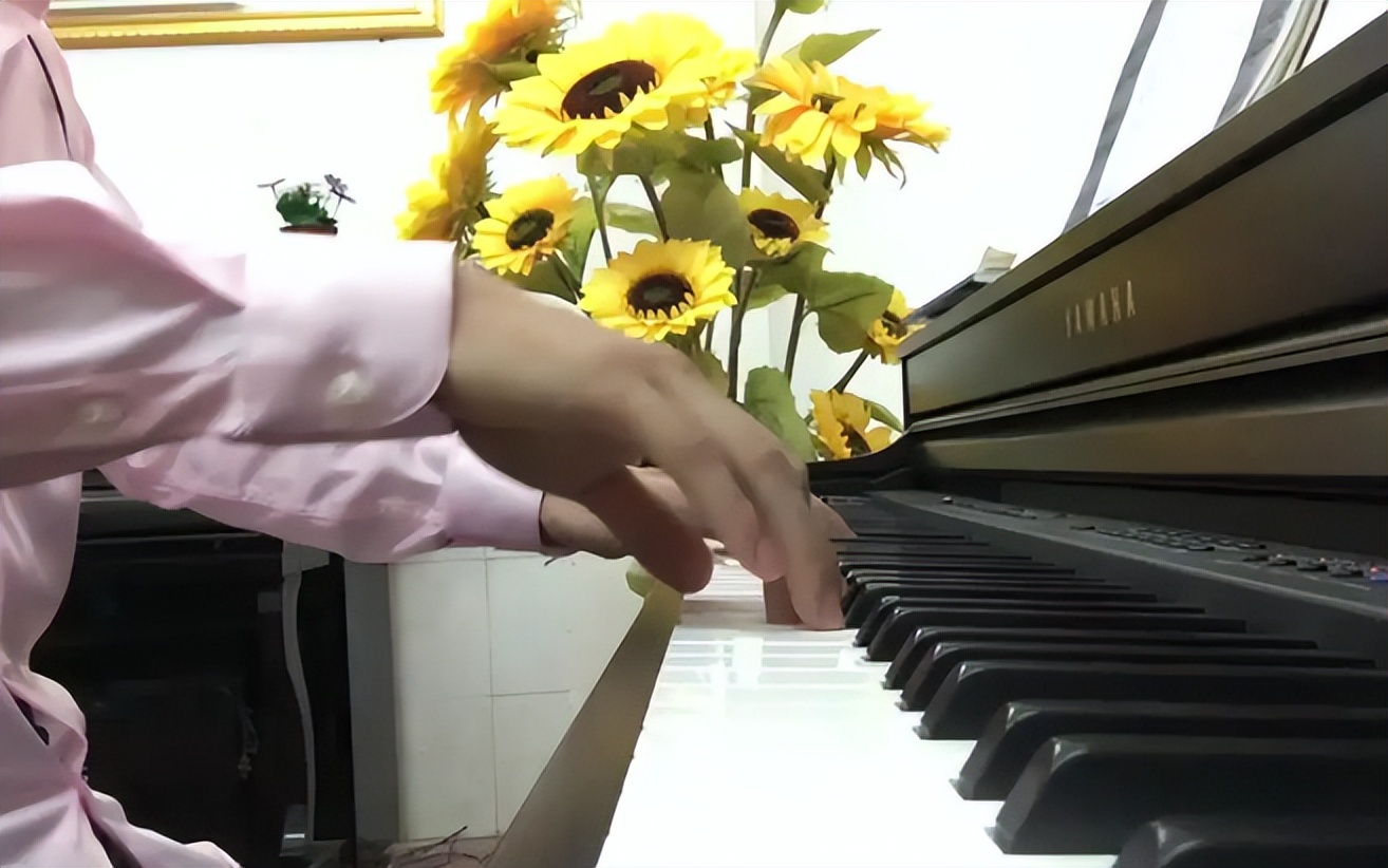 普拉姆伯格钢琴是杂牌吗,教你如何辨别品牌与杂牌钢琴