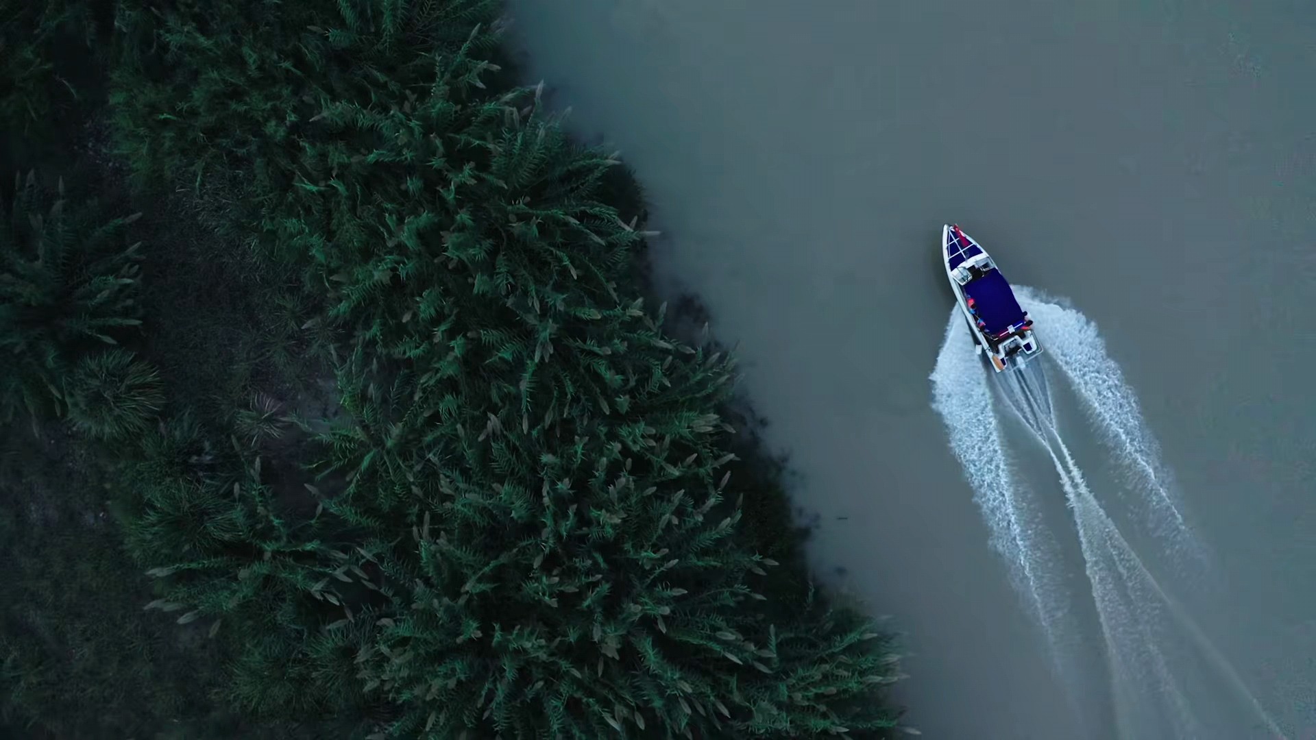 才播2集，口碑爆了，剧情高能，老戏骨惊艳，高鑫新剧凭什么？