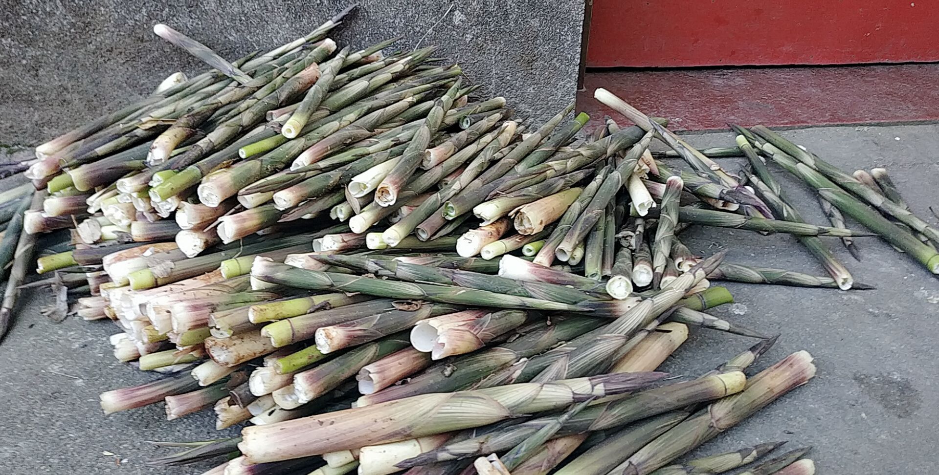 立夏节气,农村6种野味别错过,采摘正当时,有的100多元一斤