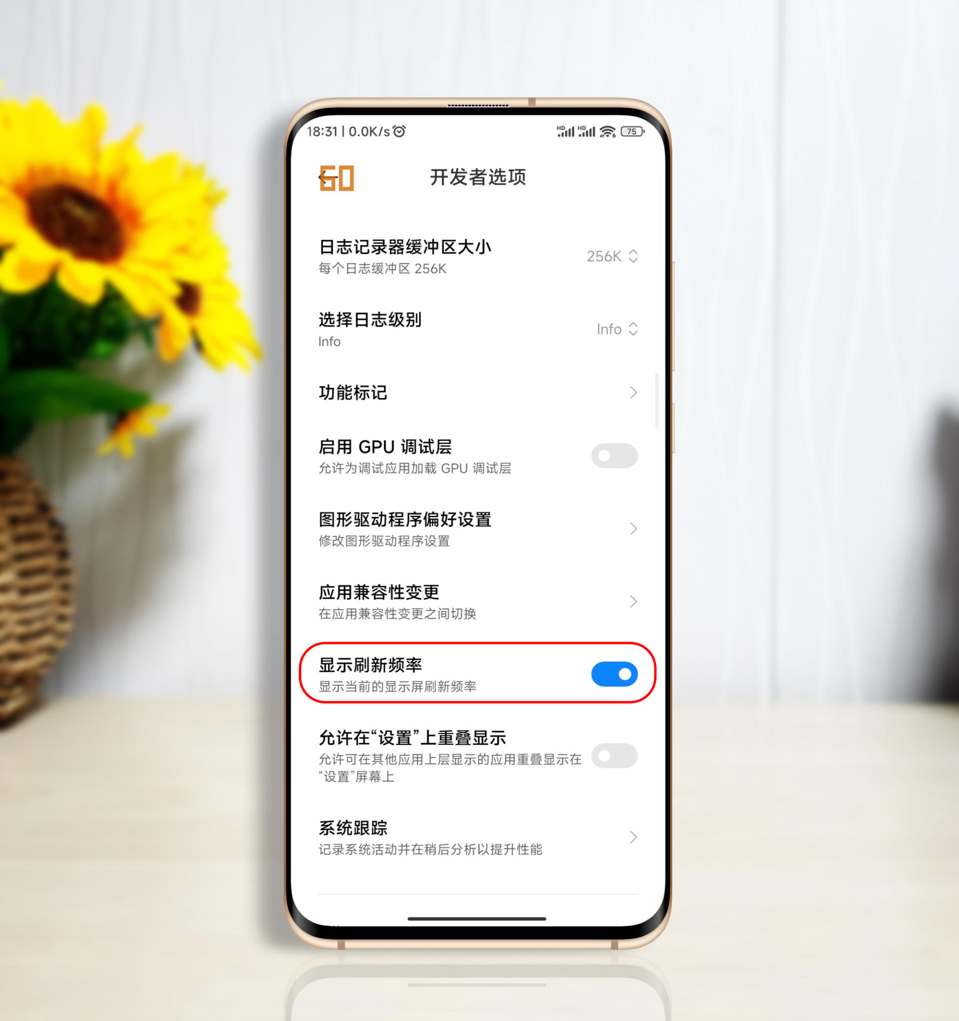 小米13系统怎么进入开发者模式,小米开发者选项怎么打开miui13