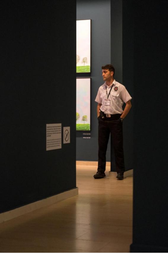 土耳其帅哥全部视频,土耳其的帅哥排行榜