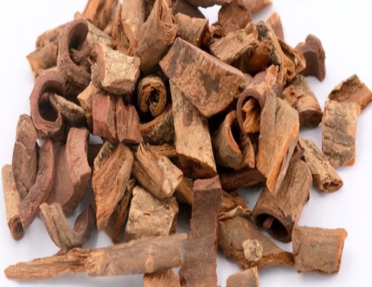 土荆皮显微鉴别图片,什么代替土荆皮