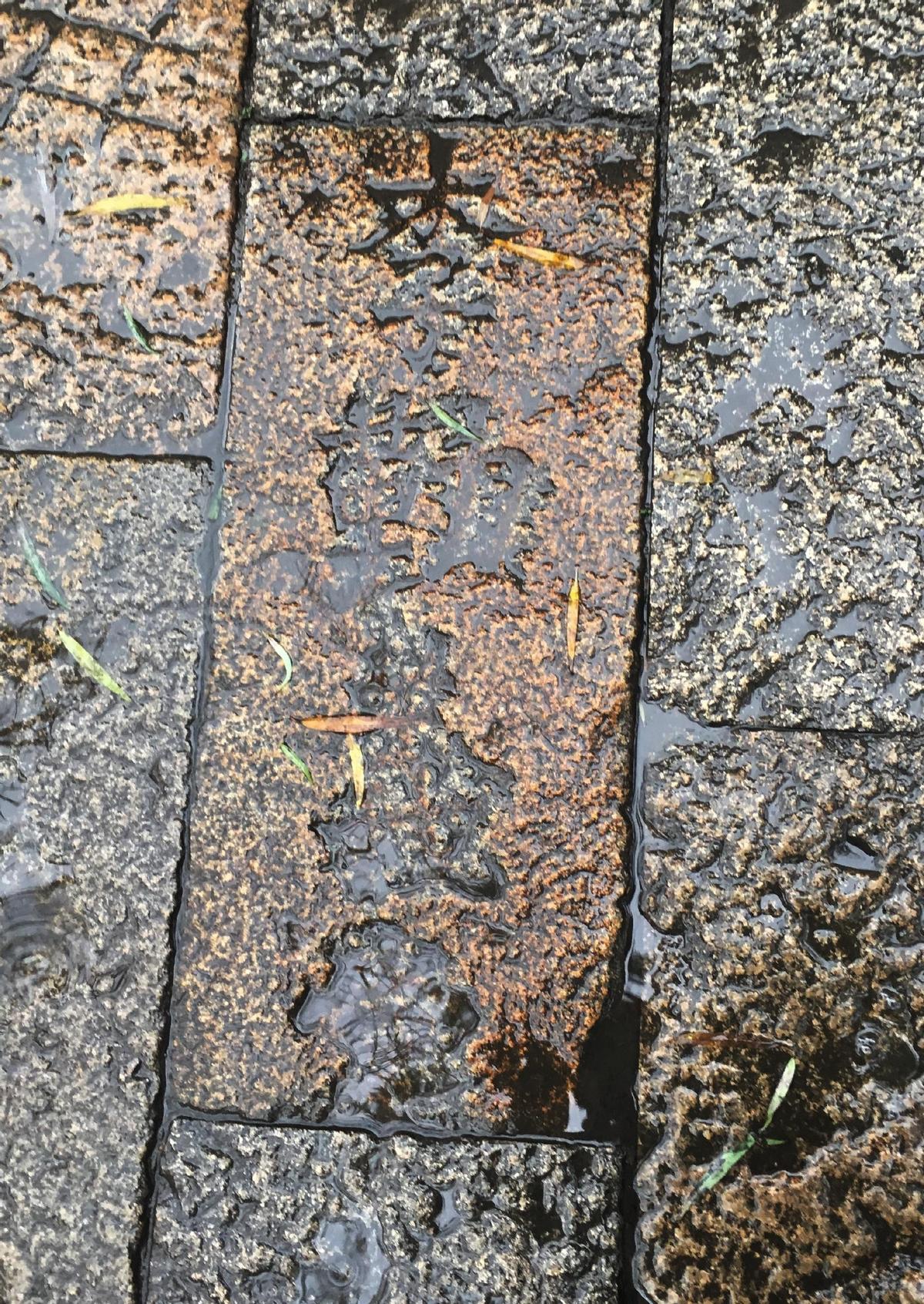 老日军女兵老照片,女子身着日本侵华军装露脸